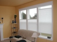 Olympic Blinds Honeycomb Shades