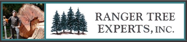 Ranger Tree Experts | Tree Sevices | Tree Removal | Lakewood | Tacoma WA